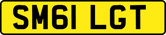 SM61LGT