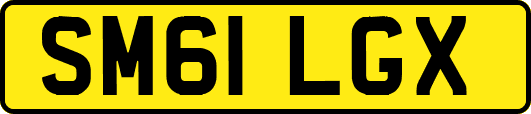 SM61LGX