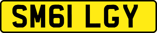 SM61LGY