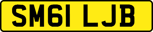 SM61LJB