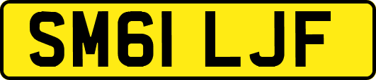 SM61LJF