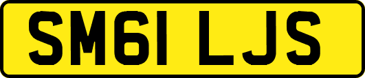 SM61LJS