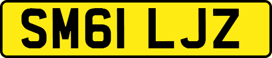SM61LJZ