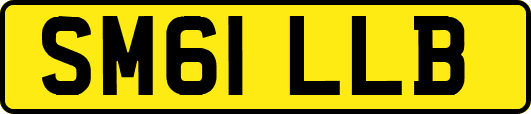 SM61LLB