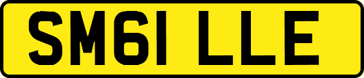 SM61LLE