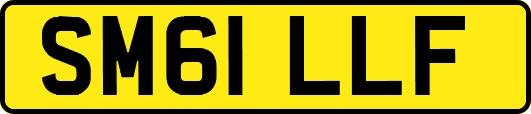 SM61LLF