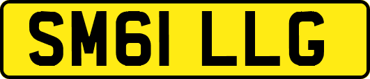 SM61LLG