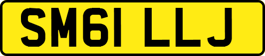 SM61LLJ