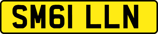 SM61LLN