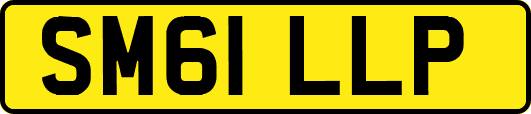 SM61LLP