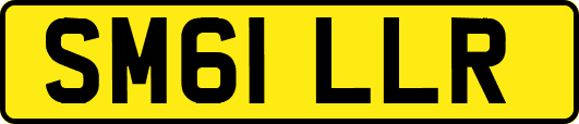 SM61LLR