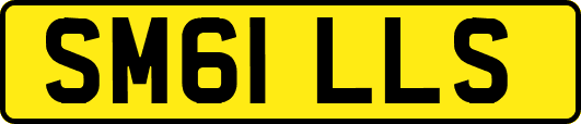 SM61LLS