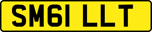 SM61LLT