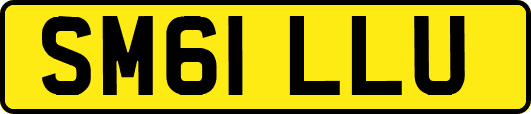 SM61LLU
