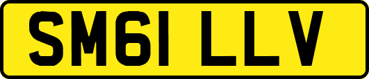 SM61LLV