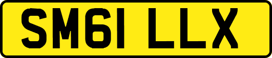 SM61LLX