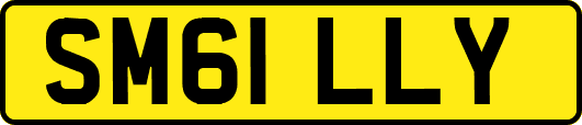 SM61LLY