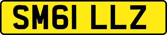 SM61LLZ