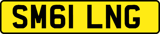 SM61LNG