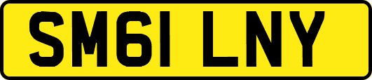 SM61LNY
