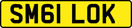SM61LOK