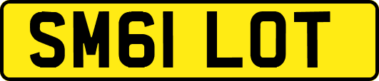 SM61LOT