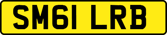 SM61LRB