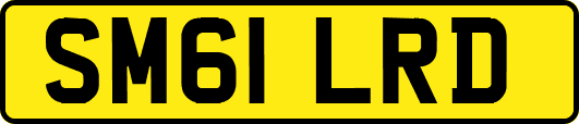 SM61LRD