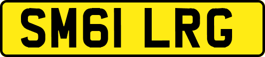 SM61LRG