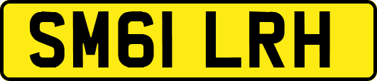 SM61LRH