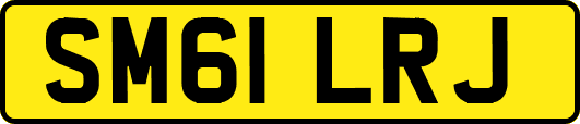 SM61LRJ
