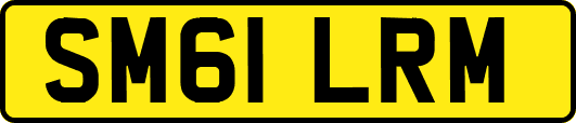 SM61LRM