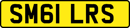 SM61LRS