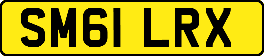 SM61LRX