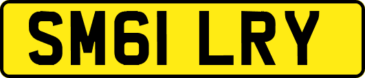 SM61LRY
