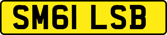 SM61LSB