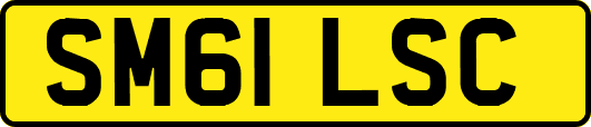 SM61LSC