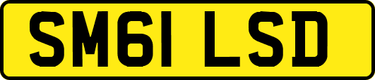 SM61LSD