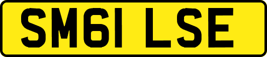SM61LSE