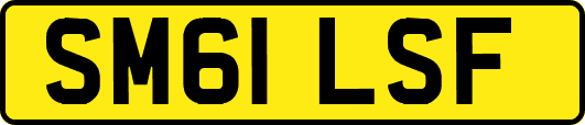 SM61LSF