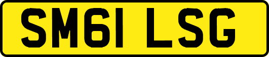 SM61LSG