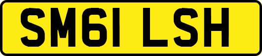 SM61LSH