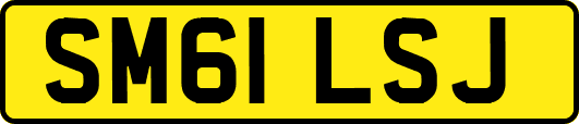 SM61LSJ