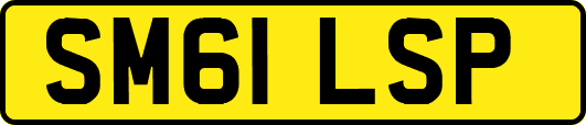 SM61LSP