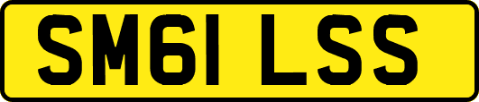 SM61LSS