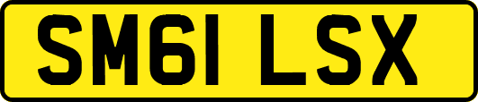 SM61LSX