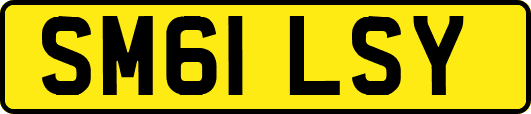 SM61LSY