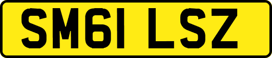 SM61LSZ