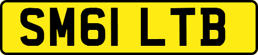 SM61LTB