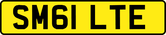 SM61LTE